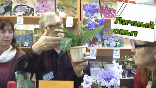 ДФ. Н.Дорофеев.Из личного опыта (стрептокарпусы)