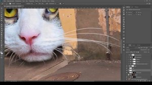 КОТ В ПОИСКЕ РЫБОВ | Photoshop | Photomanipulation tutorial