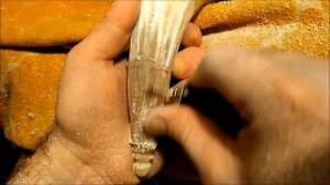 Сувенирный рог с резьбой, из рога крс(процесс).