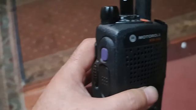 Pruebas Alcance Xts2250? смотреть онлайн