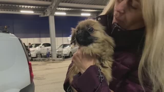 Поездка в ЕКБ. В добрые ручки собаку без лапы. Пробыла 2 дня без еды и людей