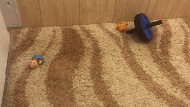 Французские бульдоги - Бонни и Клайд смотреть онлайн