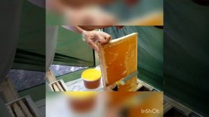 Мёд с Моей Пасеки! (Г. Энгельс Саратовская обл)