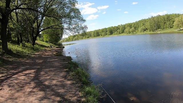 МОРМЫШИНГ В ЗАПРЕТ. Плотва,Окунь,Уклейка.#мормышинг смотреть онлайн