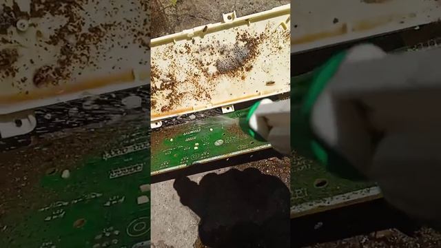 Тараканы сломали стиральную машину.... смотреть онлайн