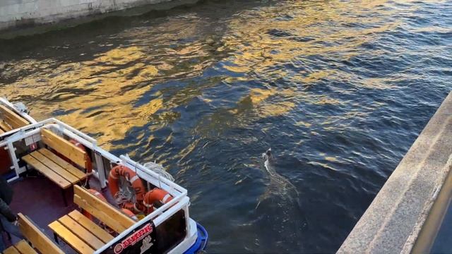 Тестируем катер/Чуть не потеряли катер в центре Питера