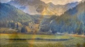 Апти Бисултанов Дег1аста