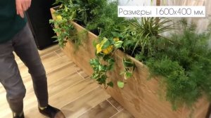 Кашпо для цветов из шпона ясеня