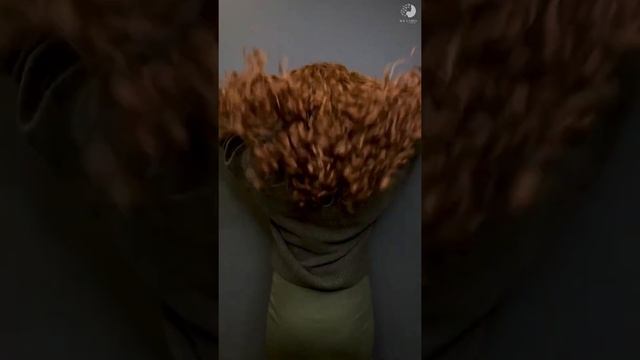 Стрижка уход и укладка кудрявых волос в салоне ICE CURLY