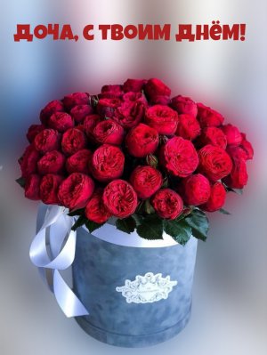 Любимая Доченька,с Днем Рождения!!!
