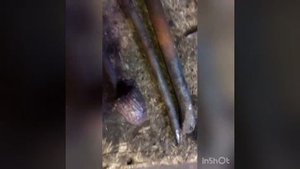 Птица из металла своими руками.