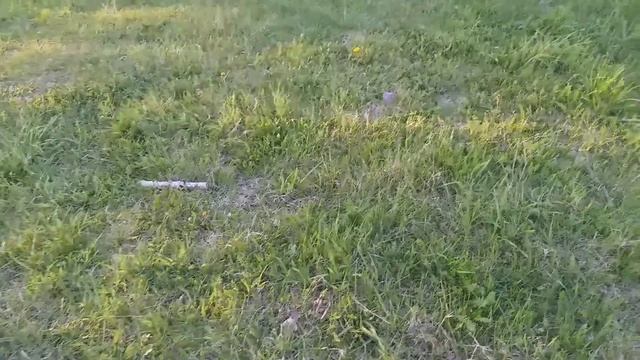 ИЩЕМ МЕТАЛЛ ТЕЛЕФОНОМ! смотреть онлайн