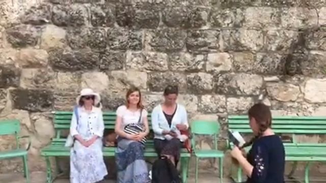 Ворота Домаска в Иерусалим. Храм Вознесения. Гефсиманский сад. смотреть онлайн