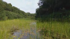 р. Черёха Псковский район.