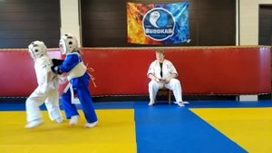 Кудо дети 150 ед.