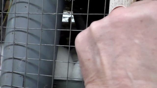 РАЗВЕДЕНИЕ КРОЛИКОВ В ЯЩИКЕ Кролики содержание и разведение
