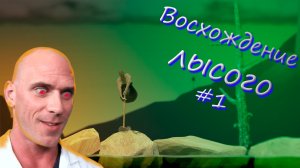 Восхождение лысого_Getting Over It with Bennett Foddy#1