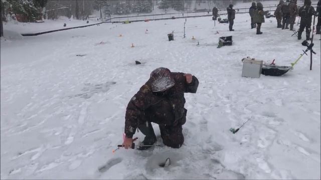 Рыбалка на Нижнем. Клёвое место Лосиный остров. смотреть онлайн
