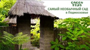 Самый необычный сад в Подмосковье. Обзор сада.