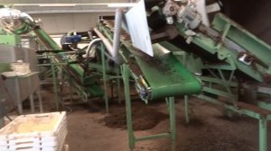 Как заработать на навозе/Бизнес на червях и биогумусе/Дендробена/Переработка навоза