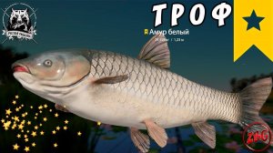 АМУР БЕЛЫЙ ТРОФ - АХТУБА ⭐ РУССКАЯ РЫБАЛКА 4 |  RUSSIAN FISHING 4@Z-B-G