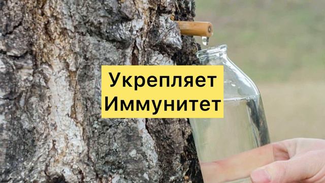 Чем Полезен Березовый Сок? смотреть онлайн