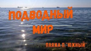 Подводный мир пляжа п. Южный. Туапсинский район