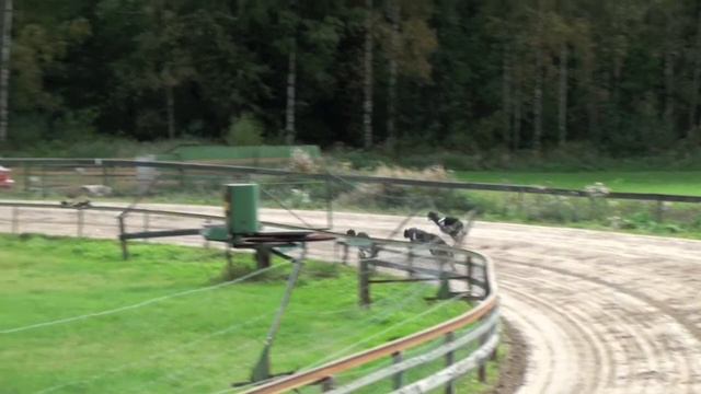 Greyhound Racing, Hyvinkää 13.9.2009, Lähtö 10 смотреть онлайн