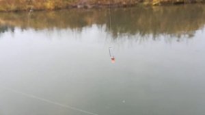 Рыбалка на спиннинг на реке Туношонка. Место гибели ХК Локомотив Ярославль.