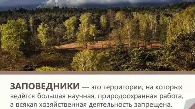 Классный час "Экология нашего дома" во 2 "Б" классе смотреть онлайн