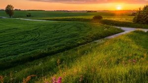 мохнатый шмель на душистый хмель