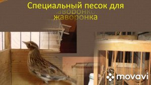 Клетки для птиц