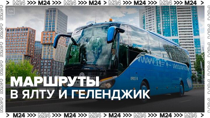 Мосгортранс запустил маршруты в Ялту и Геленджик - Москва 24
