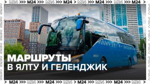 Мосгортранс запустил маршруты в Ялту и Геленджик - Москва 24