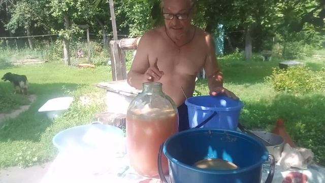 Домашнее ВИНО из КРЫЖОВНИКА - Сделай сам