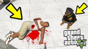 ЧТО БУДЕТ ДЕЛАТЬ ЧОП ЕСЛИ ФРАНКЛИН ПОГИБНЕТ?! (GTA 5)