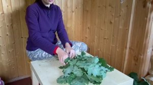 Дубовый веник для бани. Как вязать?