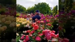 АТО КАРДИ ХАТО КАРДАМ БЕХТАРИН НАШИД БО САДОЙ КОРИ БАРАКАТУЛЛО РАУПОВ