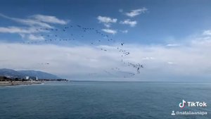 Олимпийский парк. Море рядом со стадионом Фишт.