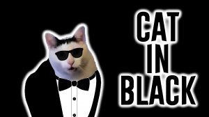 Кот Бендер: коты в черном