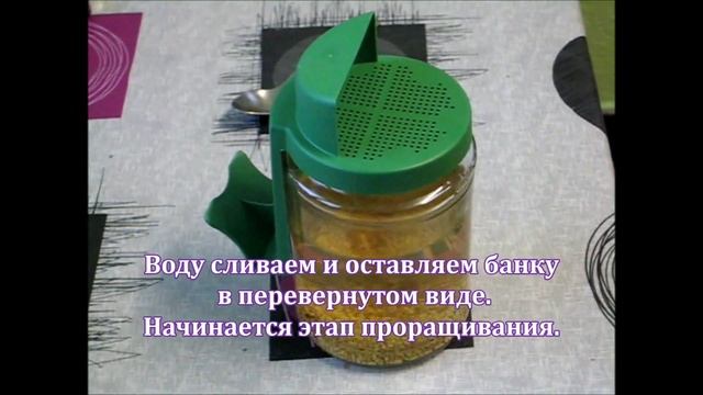 Проростки семян в домашних условиях