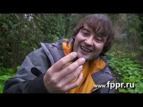 Кладоискательство в Англии и Ирландии