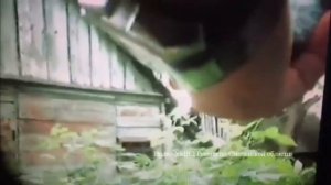 Под Смоленском "черный копатель" продавал оружие "закладками"