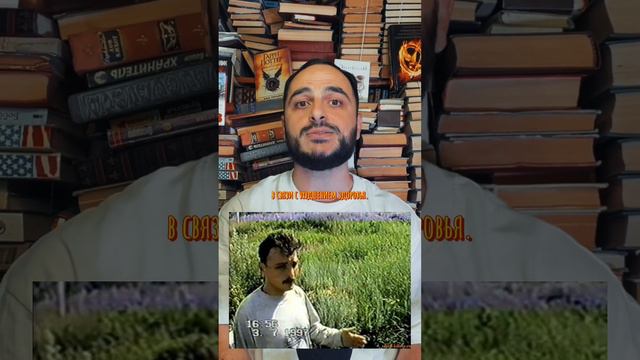 ОЛЕГ РЫЛЬКОВ  - ТОЛЬЯТТИНСКИЙ ПОТРОШИТЕЛЬ