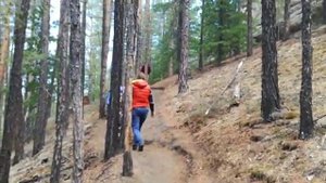 ВЫСЕЧЕННАЯ В СКАЛЕ 33-метровая статуя Будды Шакьямуни