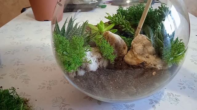 Флорариум с водоемом и водопадами. diy florarium
