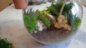 Флорариум с водоемом и водопадами. diy florarium