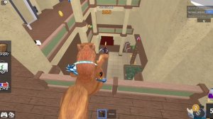 Играем в мм2 в скине белки ?️ #roblox #mm2