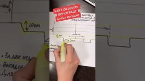 КАК ПОСАДИТЬ ВИНОГРАД | СХЕМА ПОСАДКИ