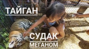 Судак. Тайган. Меганом.Поели впятером на 1000 руб в столовой. Гостевой дом Белый Лев.